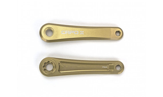 SET BIELAS - 172.5MM - CAPO 8 / SRAM DUB - DORADO - LEONARDI